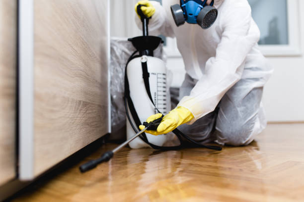 Best Commercial Pest Control Services  in Hagaman, NY