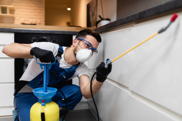 Pest Prevention Services in Hagaman, NY