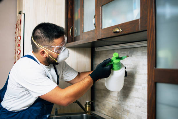 Best Pest Control Treatment  in Hagaman, NY