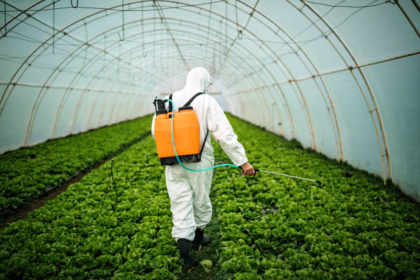 Best Pest Control Cost  in Hagaman, NY