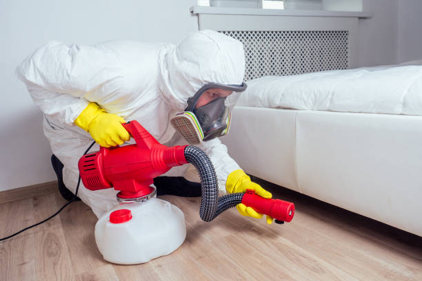 Best Local Pest Control Services  in Hagaman, NY