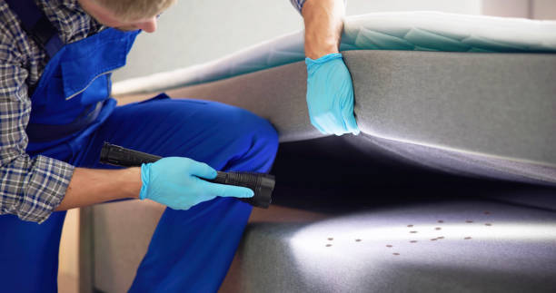 Best Best Pest Control Companies  in Hagaman, NY