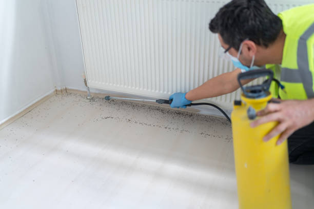 Best Cockroach Control Services  in Hagaman, NY