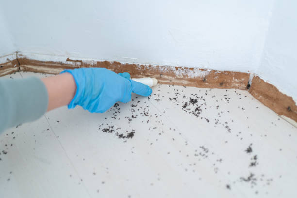 Best Pest Removal Services  in Hagaman, NY