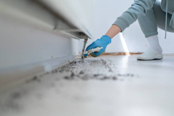 Best Pest Inspection Near Me  in Hagaman, NY